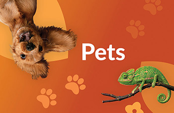 Pets resources page