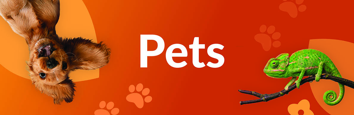 Pets