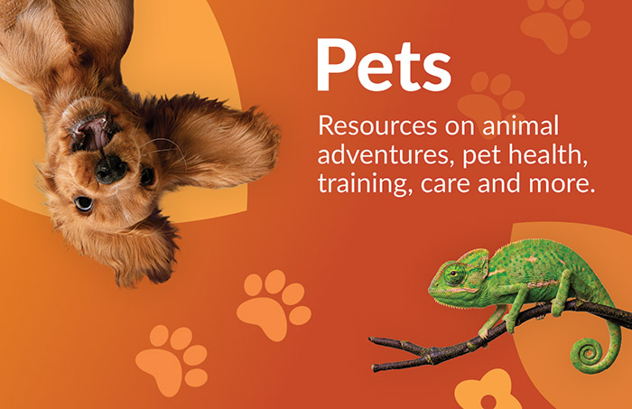 Resources on animal adventures, pet health, training, care and more
